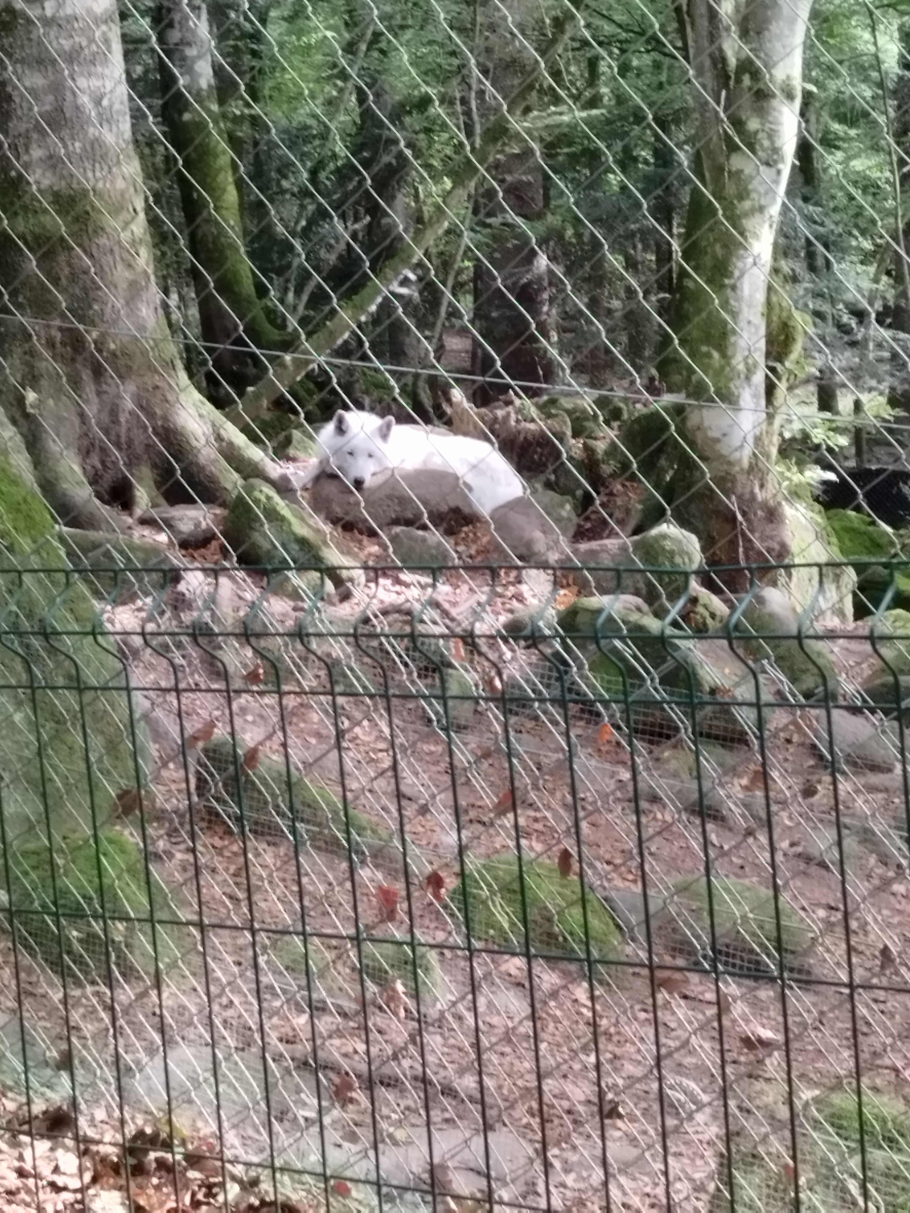 Photo n° 5 de l'avis de sandra.a fait le 20/09/2023 à 17:47