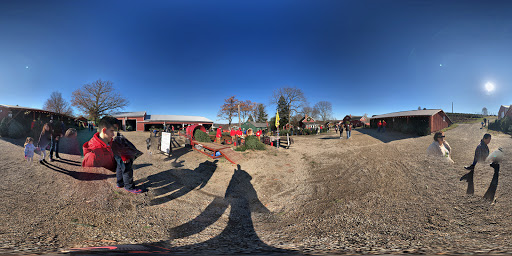 Farm «Jones Family Farms», reviews and photos, 606 Walnut Tree Hill Rd, Shelton, CT 06484, USA