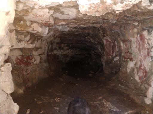 Nature Preserve «GRIGGS RESERVOIR PARK», reviews and photos, 2933 Riverside Dr, Columbus, OH 43221, USA