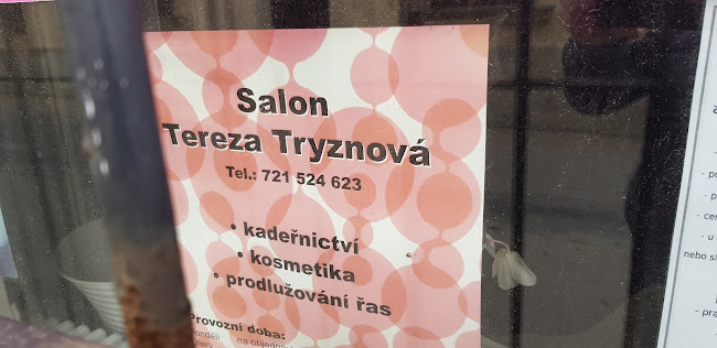 Recenze na Kadeřnický Salon Tereza Tryznová v Liberec - Holičství