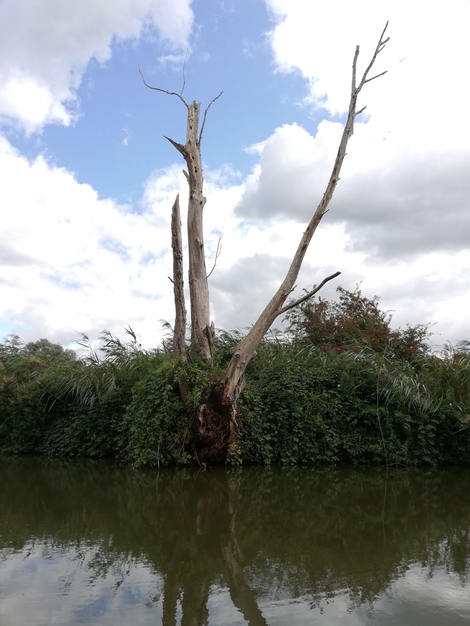 Photo n° 3 de l'avis de Lena.i fait le 30/08/2018 à 18:31