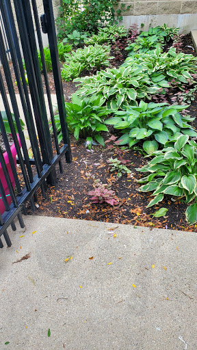 Water Park «Phillips Park Family Aquatic Center», reviews and photos, 828 Montgomery Rd, Aurora, IL 60505, USA