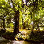 Photo n° 6 de l'avis de Marcos.e fait le 02/08/2021 à 14:16 pour Aire de covoiturage de Banassac à Banassac-Canilhac