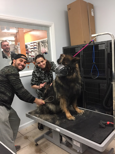 Pet Supply Store «Bully Zone Pet Supplies & Pet Grooming», reviews and photos, 1409 McCarter Hwy, Newark, NJ 07104, USA