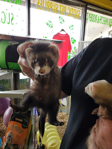 Pet Store «Parker Exotic Pets», reviews and photos, 17880 Cottonwood Dr, Parker, CO 80134, USA