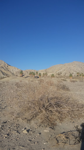 Wedding Venue «Desert Adventures Metate Ranch», reviews and photos, 38635 Monroe St, Indio, CA 92203, USA