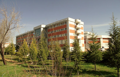 Karamanoğlu Mehmetbey Üniversitesi İktisadi Ve İdari Bilim