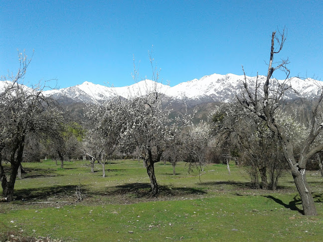 Campamento Cipreses - Oficina de empresa