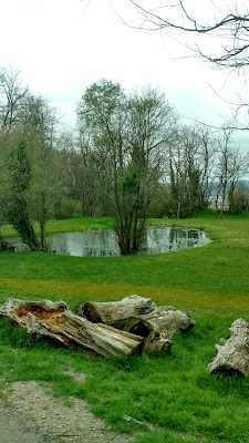 Parc des Perrières à Brive-la-Gaillarde