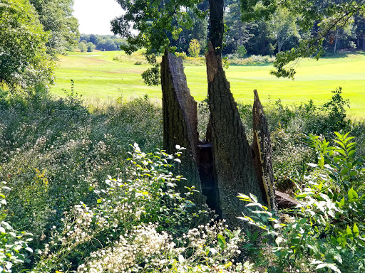 Golf Course «William J. Devine Golf Course at Franklin Park», reviews and photos, 1 Circuit Dr, Dorchester, MA 02121, USA