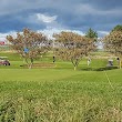 Arbroath Golf Links