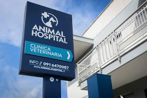 Animal Hospital - Veterinary Clinic image