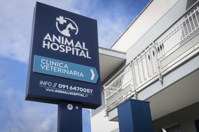 Animal Hospital - Clinica Veterinaria