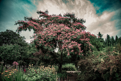 Tourist Attraction «NatureScaping Wildlife Botanical Gardens», reviews and photos, 11000 NE 149th St, Brush Prairie, WA 98606, USA