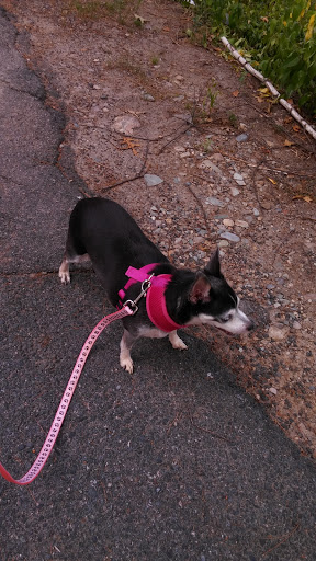 Park «Bradford Hawes Park», reviews and photos, 167 Lakehurst Ave, Weymouth, MA 02189, USA