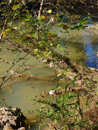 Park «Cochran Shoals - Powers Island», reviews and photos, 5450 Interstate N Pkwy, Sandy Springs, GA 30328, USA