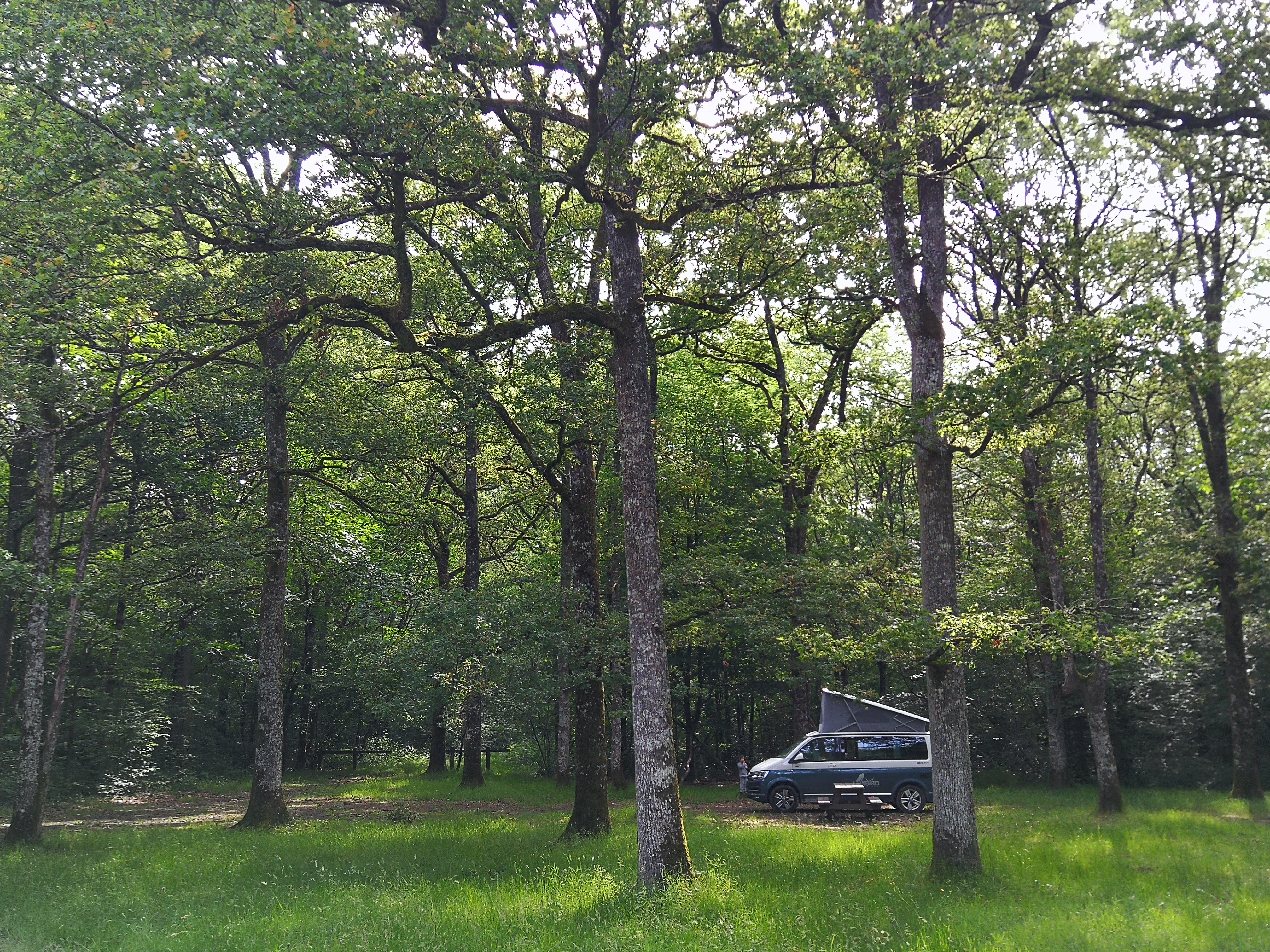 Photo n° 1 de l'avis de pierre-yves.. fait le 11/06/2019 à 13:52
