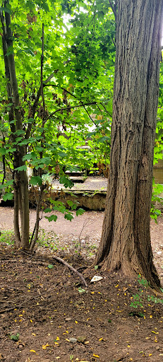 Fortress «Battery Weed», reviews and photos, N Weed Rd, Staten Island, NY 10305, USA