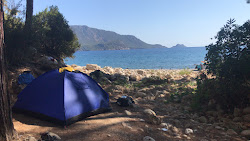 Photo de Kargili Creek Beach situé dans une zone naturelle