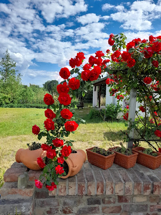 Photo Ferienwohnung Quartier Pe 16792 Zehdenick