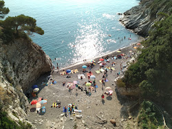 Photo de Spiaggia Punta Pròdani situé dans une zone naturelle