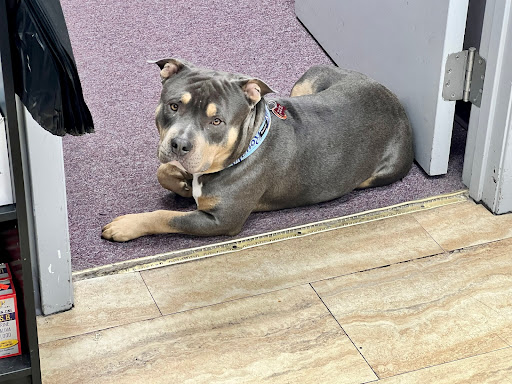 Tobacco Shop «Smoke Hut Smoke Shop», reviews and photos, 11902 Blue Ridge Boulevard g, Grandview, MO 64030, USA