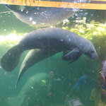 Photo n° 1 de l'avis de Nath. fait le 10/11/2023 à 20:02 pour ZooParc de Beauval Entrée Nord à Saint-Aignan