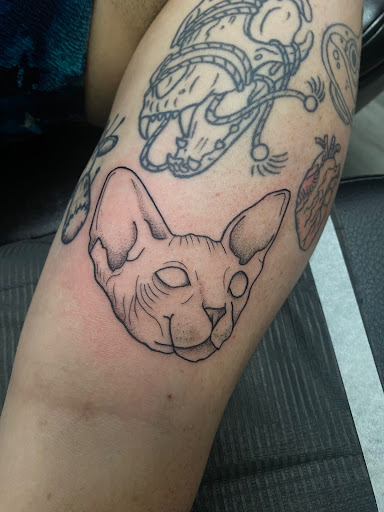 Explore olive branch tattoo ideas, creative tattoo ideas in Peoria, available at Modern Ink Tattoo