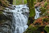 Uvas Canyon County Park Logo, Bukit Morgan, As, Taman Alam
