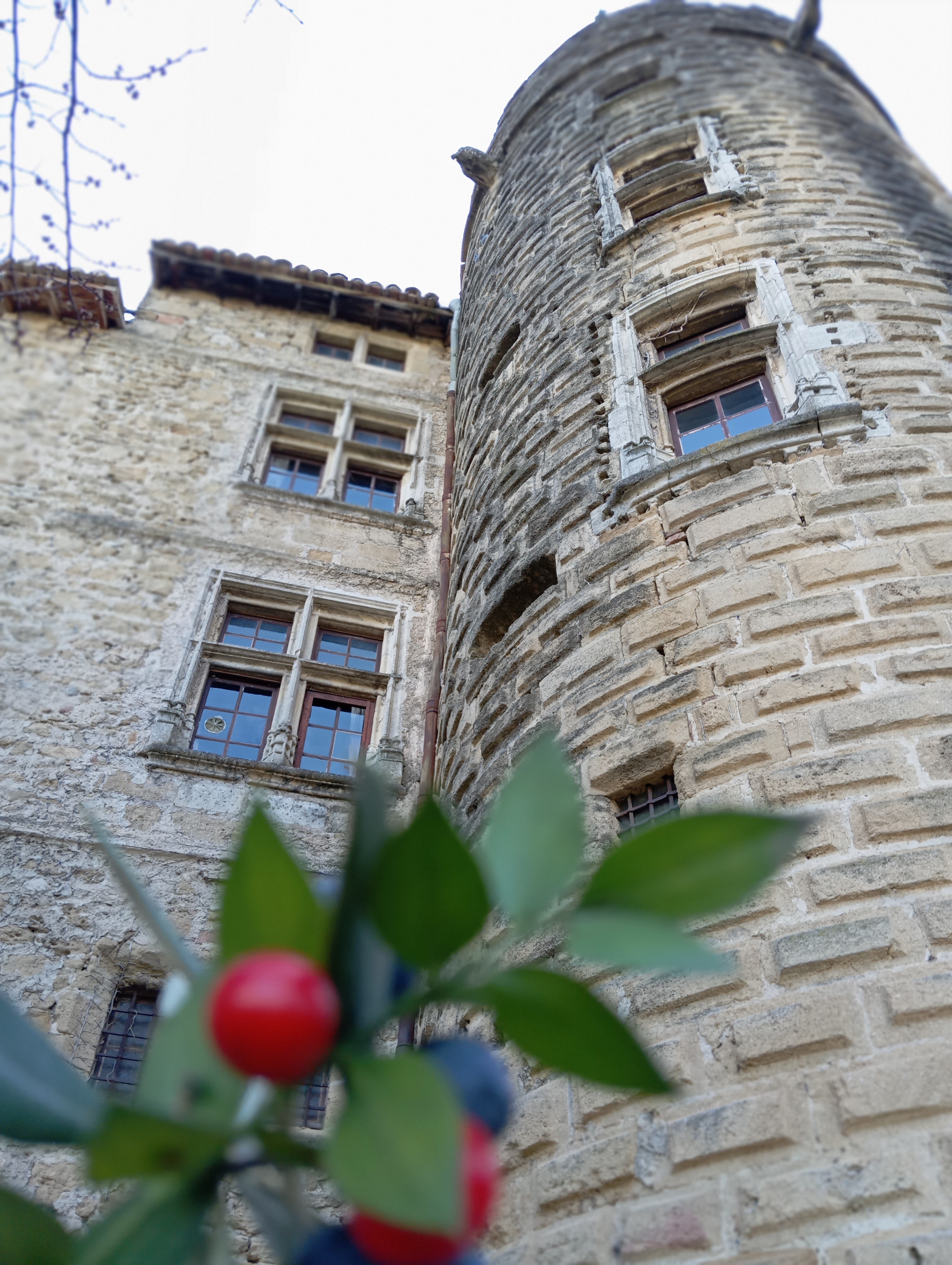 Photo n° 4 de l'avis de Pacha.i fait le 01/03/2024 à 22:31