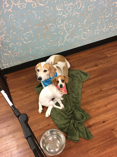 Pet Groomer «Dog Gone Cute Grooming & Bowtique», reviews and photos, 446 Racetrack Rd NW Unit F, Fort Walton Beach, FL 32547, USA