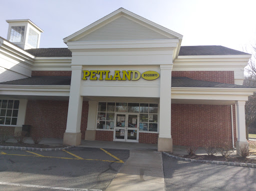Pet Store «Petland Discounts - Southbury», reviews and photos, 775 Main St S, Southbury, CT 06488, USA
