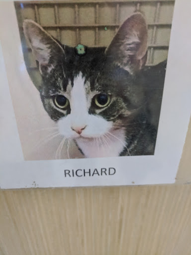 Pet Supply Store «Petco Animal Supplies», reviews and photos, 2420 Eastern Blvd, York, PA 17402, USA