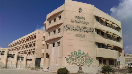 كلية الدراسات الإسلامية والعربية جامعة الأزهر فرع البنات بورسعيد