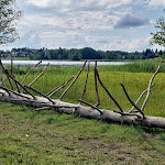 Photo n°5 de l'avis de Andrea.o fait le 13/07/2023 à 21:34 sur le  Fischerhäusl Kiosk am See à Bad Bayersoien