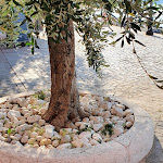 Photo n°1 de l'avis de Peter.i fait le 13/07/2022 à 20:39 sur le  Bar Gelateria Torcol à Malcesine