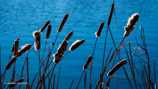 Nature Preserve «Twin Lakes Preserve», reviews and photos, Park Ave, Wantagh, NY 11793, USA