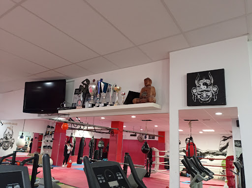 SHAMBHALA GYM en Santa Ponsa, Islas Baleares