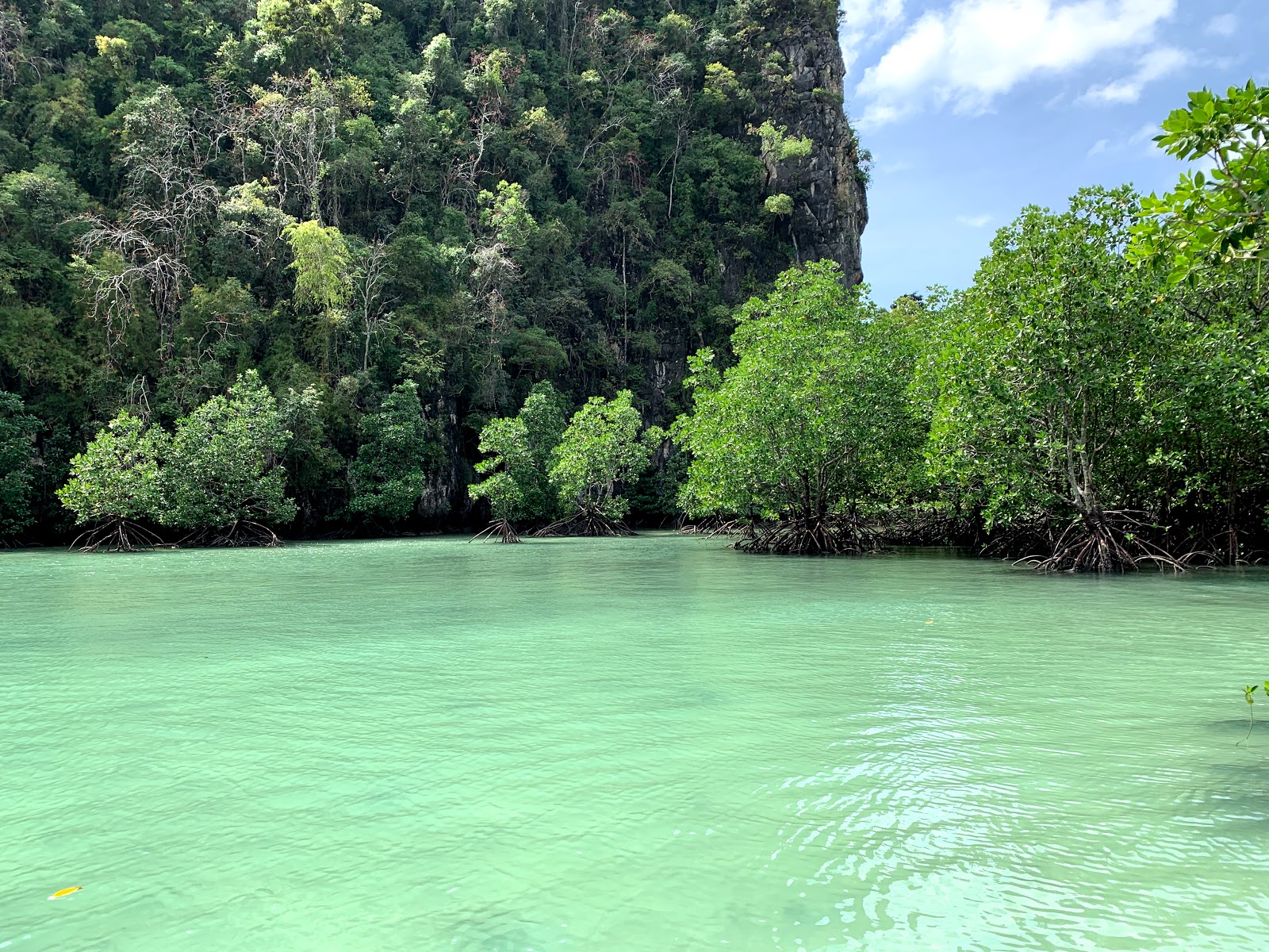 Lagoon of Hong island'in fotoğrafı vahşi alan