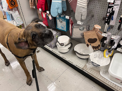 Hardware Store «Pittsburg Ace Hardware», reviews and photos, 125 E Leland Rd, Pittsburg, CA 94565, USA