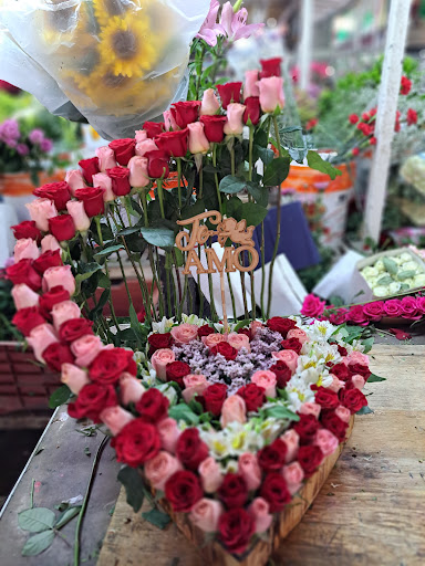 Floreria Lupita Aguascalientes – Aguascalientes