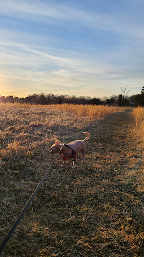 Public Golf Course «Little Bennett Golf Course», reviews and photos, 25900 Prescott Rd, Clarksburg, MD 20871, USA