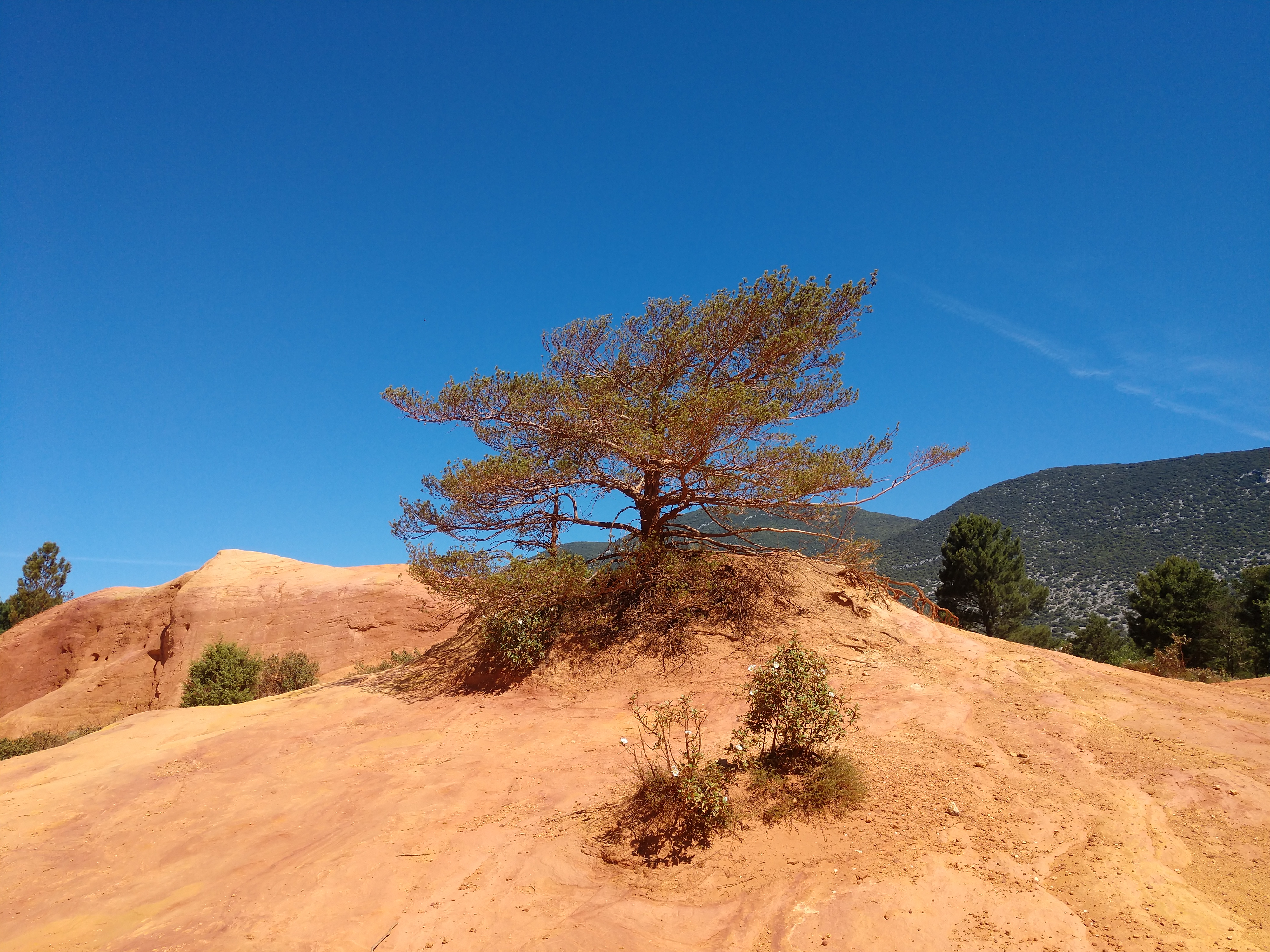 Photo n° 6 de l'avis de Johann.R fait le 16/06/2019 à 20:07