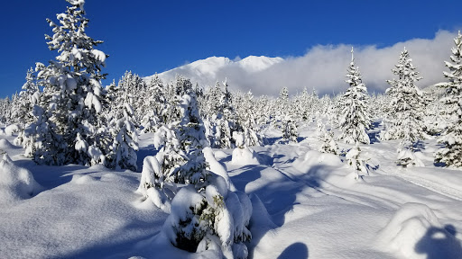 National Reserve «Mount St. Helens National Volcanic Monument», reviews and photos, 3029 Spirit Lake Hwy, Castle Rock, WA 98611, USA