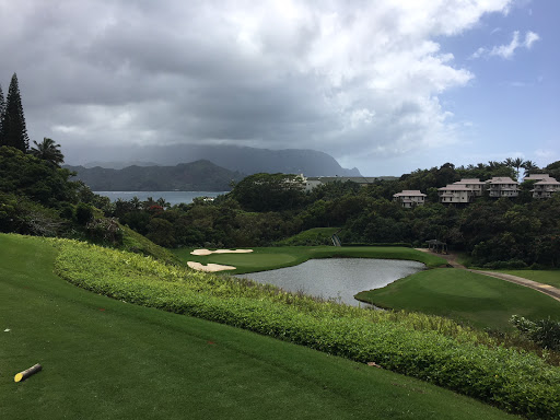 Travel Agency «Hawaiian Travel», reviews and photos, 5005 W Royal Ln #294, Irving, TX 75063, USA