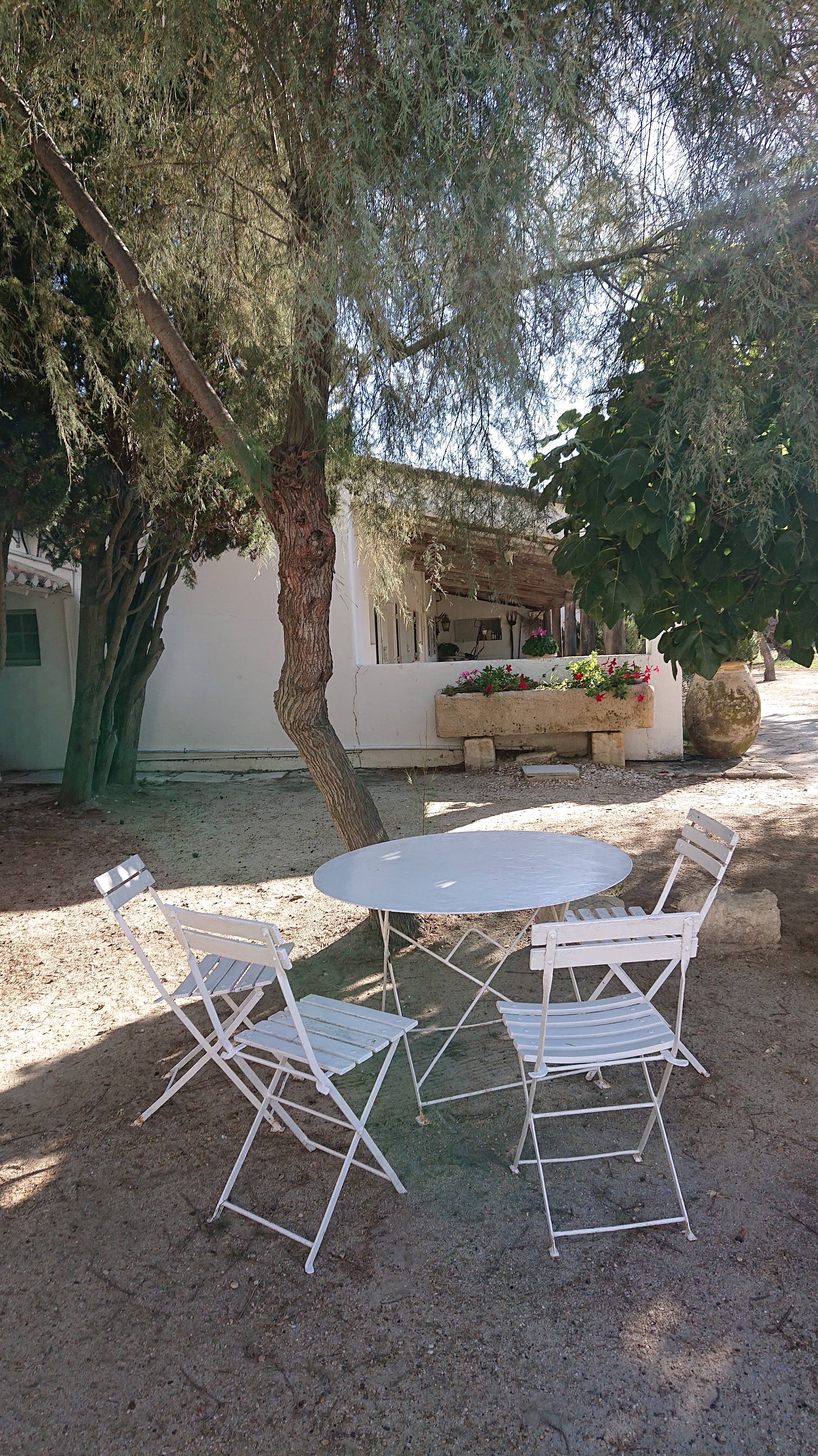 Photo n° 3 de l'avis de Magdolna.� fait le 30/09/2022 à 16:21