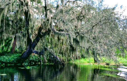 Nature Preserve «Jiggs Landing», reviews and photos, 6106 63rd St E, Bradenton, FL 34203, USA