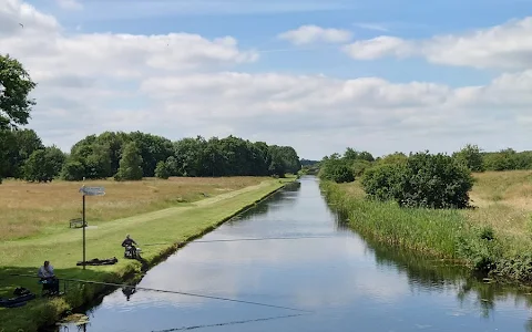 Pelsall North Common image