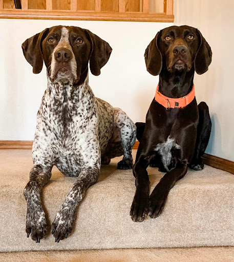 Insurance Agency «Jesse Johnson - State Farm Insurance Agent», reviews and photos