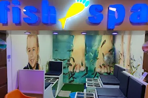 MSR Fish Spa image